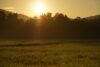 morning, week, beautiful dawn